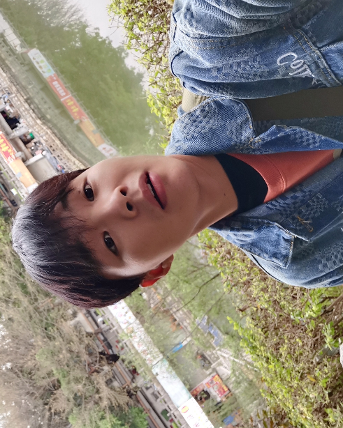 蒙德书竹877